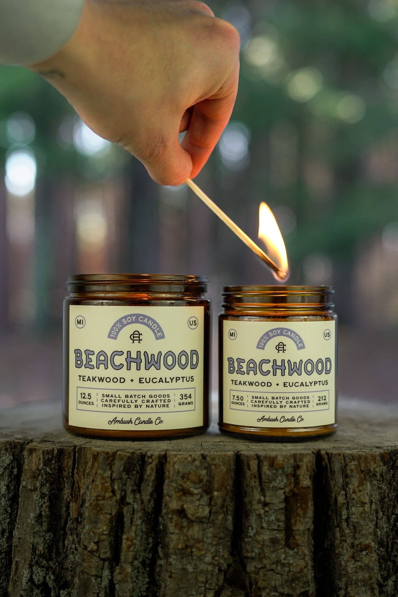 Beachwood | Teakwood + Eucalyptus Soy Candle: 12.5oz